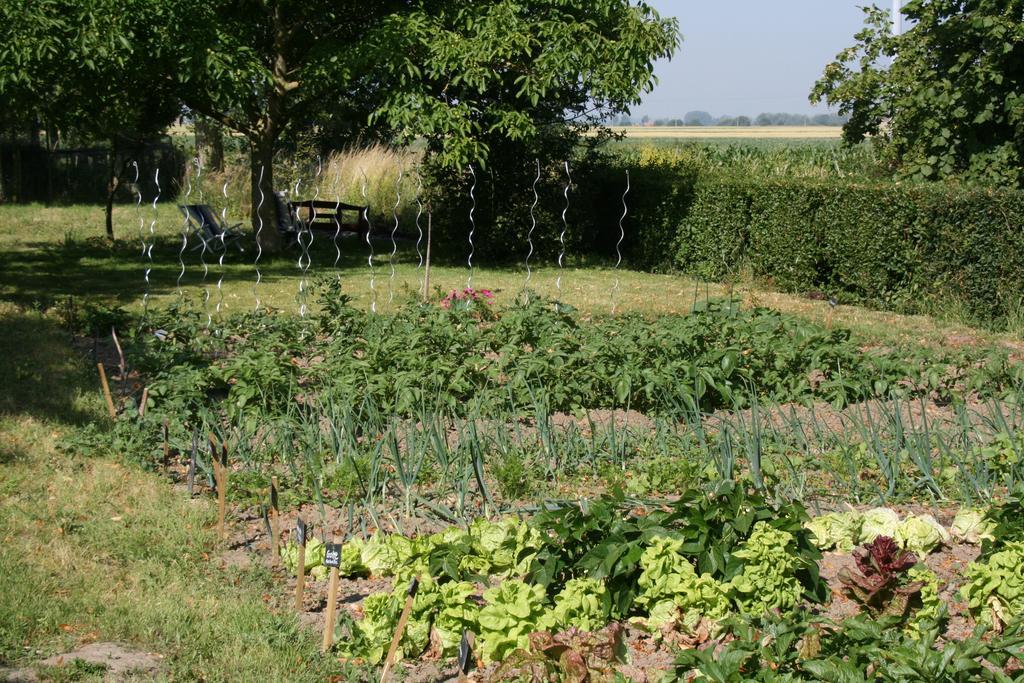 Paardenhof Guesthouse Esquelbecq Zewnętrze zdjęcie