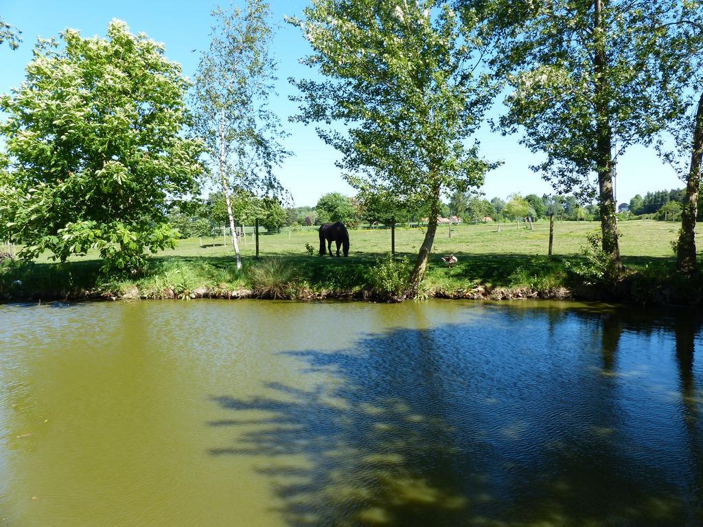 Paardenhof Guesthouse Esquelbecq Zewnętrze zdjęcie