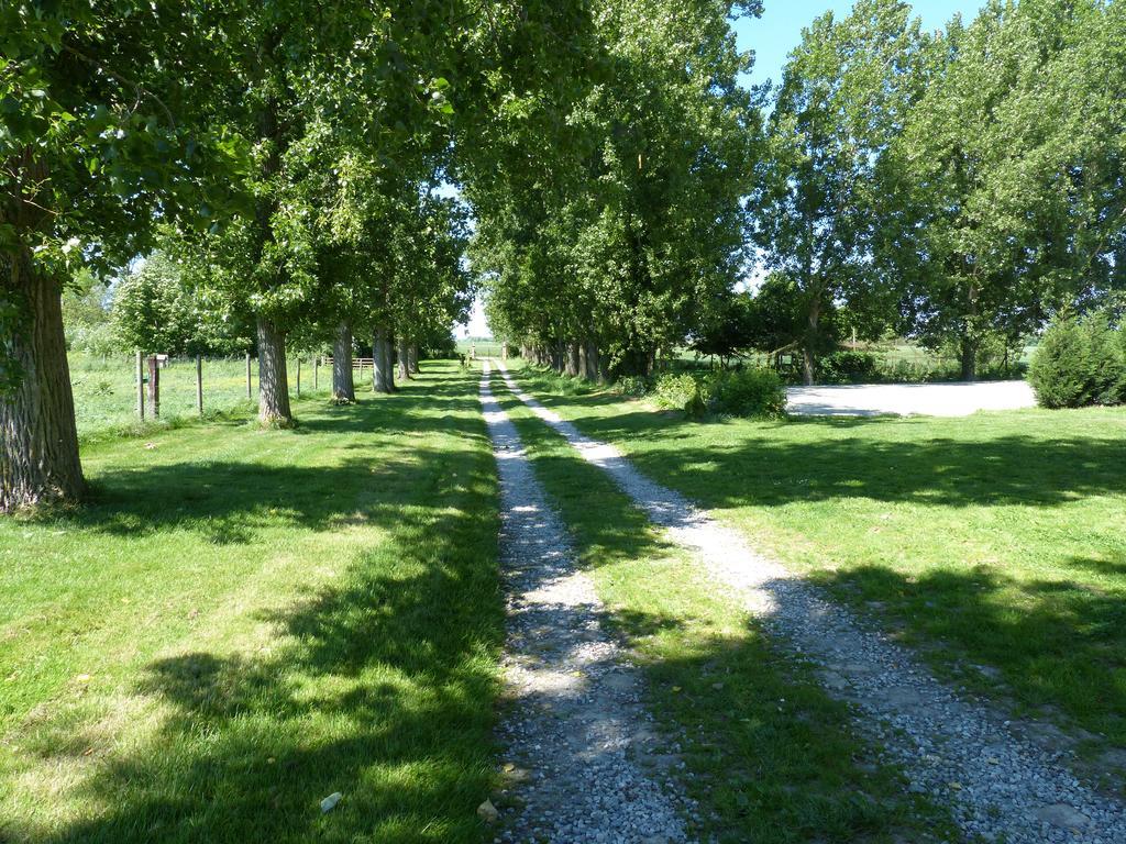 Paardenhof Guesthouse Esquelbecq Zewnętrze zdjęcie