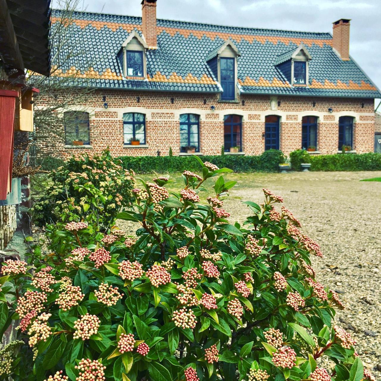 Paardenhof Guesthouse Esquelbecq Zewnętrze zdjęcie